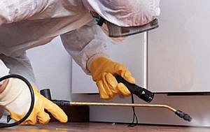 Pest control inspection service